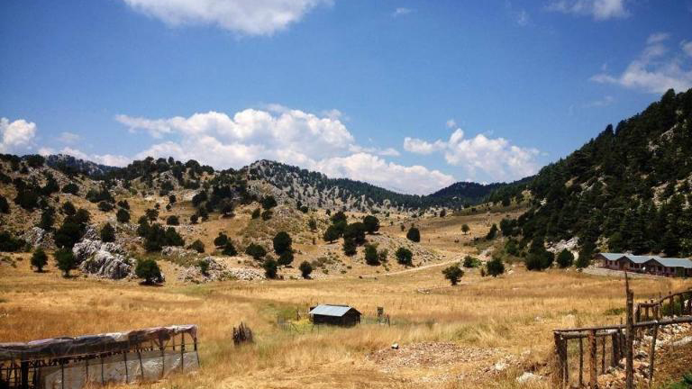 ÜÇOLUK YAYLASI BEYCİK